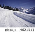 グリンデルワルト　冬の雪道