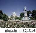 国会議事堂と花壇