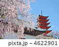 春の宮島、五重塔