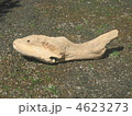 4623273