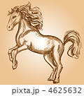 4625632