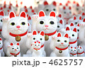 招福猫児
