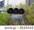 歩行者天国の信号機