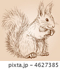 4627385