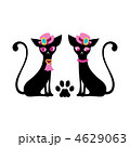 黒猫