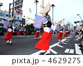 本場の阿波踊り