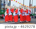 本場の阿波踊り