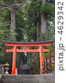 箱根神社　鳥居