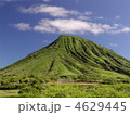 ハワイオアフ島のクアロア牧場