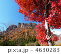 妙義山の紅葉