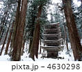 国宝 羽黒山 五重塔