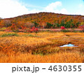 八幡平 大沼の紅葉
