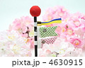春爛漫