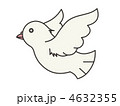 白鳩1