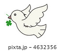 白鳩2