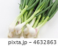 熊本県産ひともじ