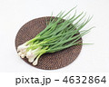 熊本県産ひともじ