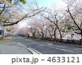 桜咲く熊本城