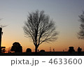 夕焼けの公園