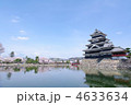 春　桜と松本城