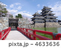 春　桜と松本城