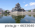 春　桜と松本城