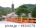 京都　宇治　十三重の石塔