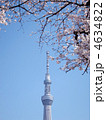 東京スカイツリーと桜