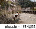 夕やけ小やけふれあいの里　八王子