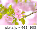 紅豊