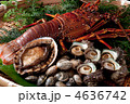 高級食材-魚介類