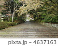 京都　光明寺の女人坂