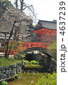 京都　下鴨神社の太鼓橋