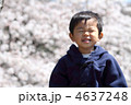 桜と子供