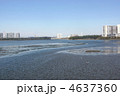 習志野市谷津干潟
