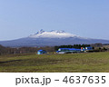 芝生とと駒ケ岳