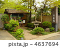 大宮散歩・盆栽町の盆栽園(清香園）