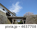 彦根城の橋　