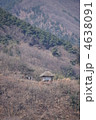 観月堂