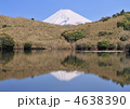 氷ヶ池と富士山-8630