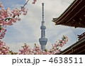スカイツリーと浅草寺