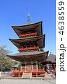成田山新勝寺三重塔