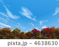 4638630