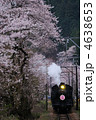 桜と蒸気機関車