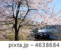 桜と蒸気機関車