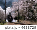 桜と蒸気機関車