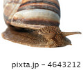 4643212