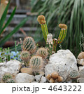 4643222