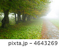 4643269