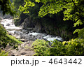 新緑の渓流